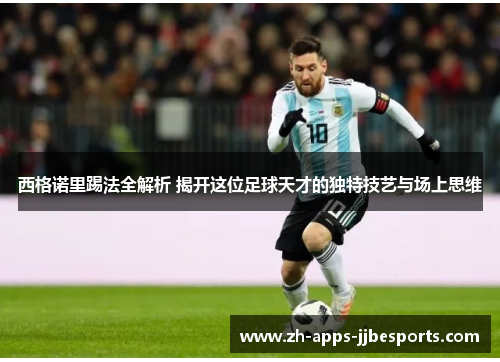 西格诺里踢法全解析 揭开这位足球天才的独特技艺与场上思维